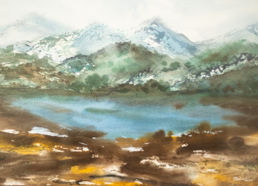 3181 LAGUNA REVIRIEGO