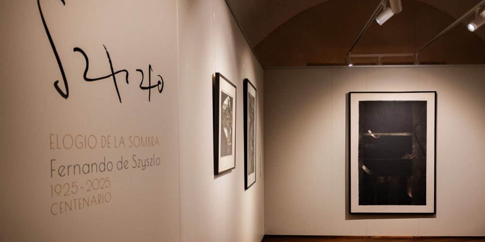 ELOGIO DE LA SOMBRA SZYSZLO-087